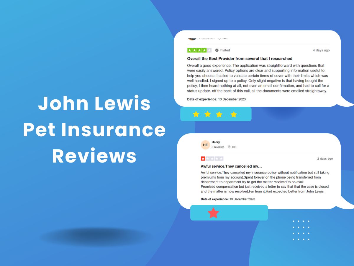 John Lewis Pet Insurance Reviews Exposed (Trustpilot)