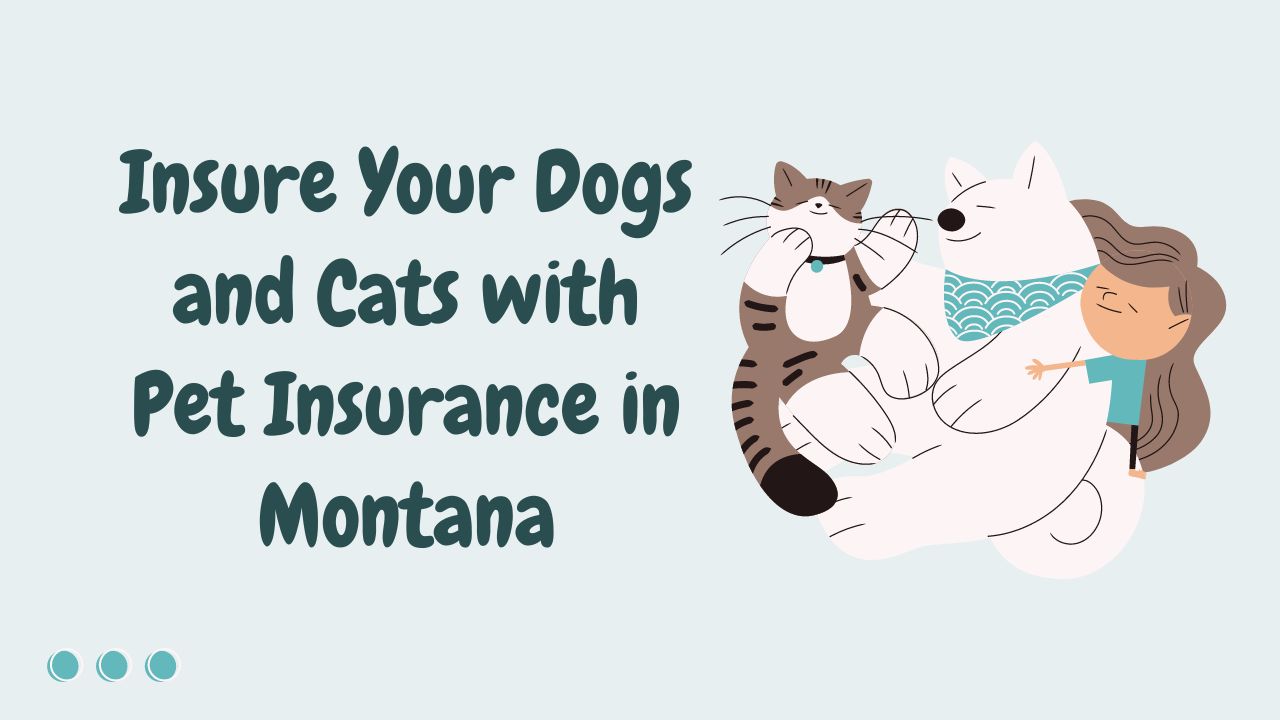 Insure Your Dogs and Cats with Pet Insurance in Montana